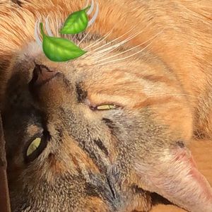 Meet your Posher, Katelyn